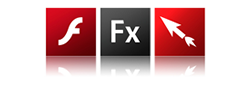 Flash Media